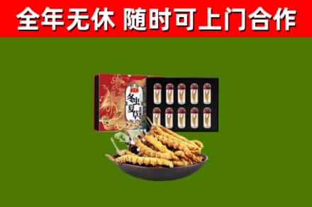 伊川回收冬虫夏草价格